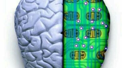 أطفالنا حواسيب ونحن المبرمجون