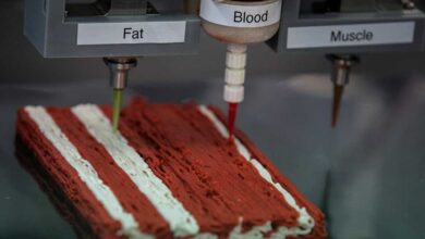 لحوم-مصنعة-بطابعة-ثلاثية-الأبعاد